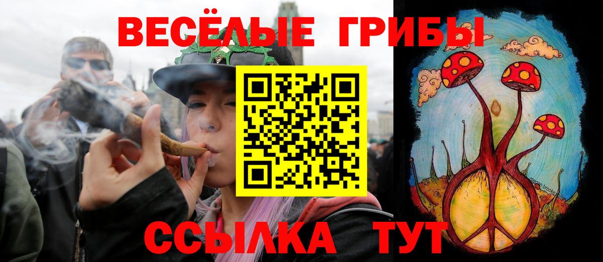 Галлюциногенные грибы Psilocybine cubensis  купить закладку  Донецк  Вход с VPN 